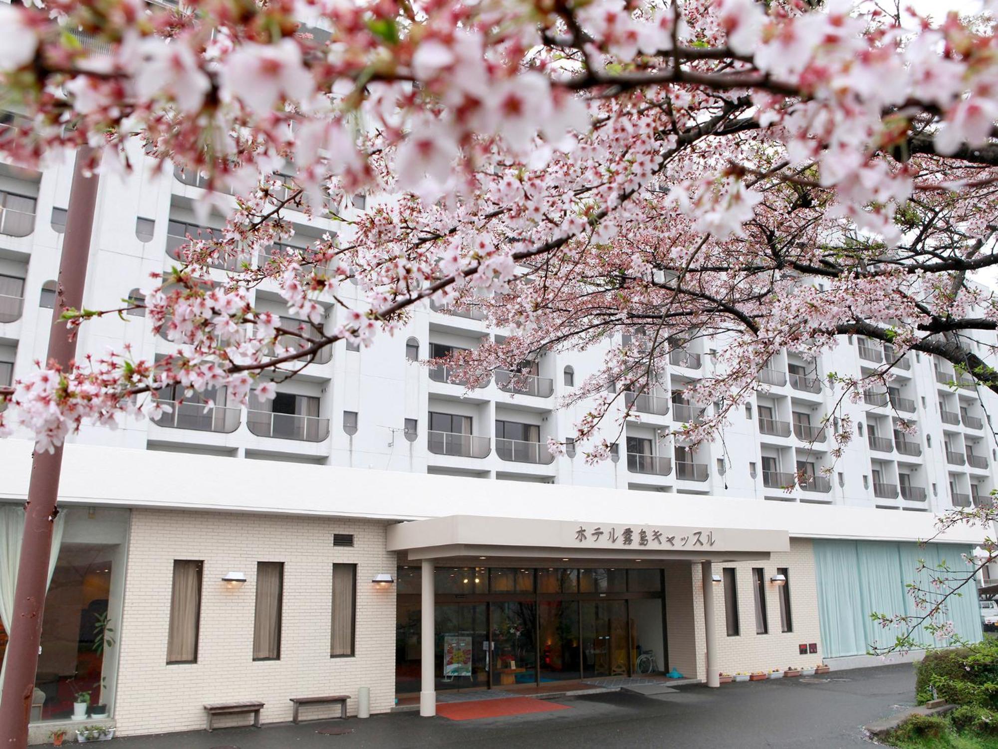 Hotel Kirishima Castle Екстер'єр фото